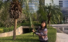 百性阁综合社区